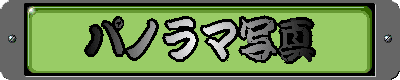 �p�m���}�ʐ^
