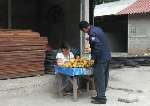 �}���S����̖��Ɖ^�]��