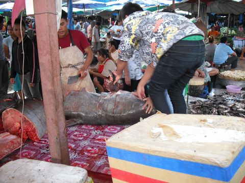 �^���[�g�E�^�[�g���A��