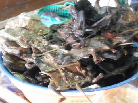 �l�Y�~�̃q���L