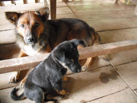 ���H���̂��