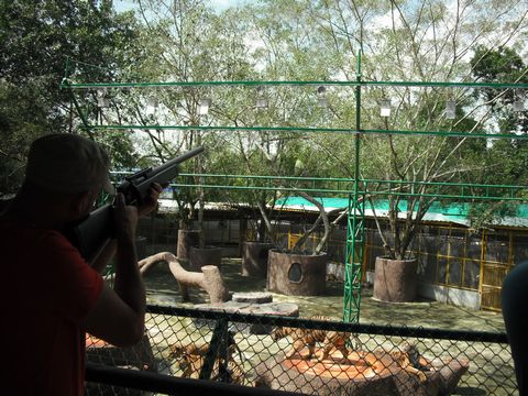 �^�C�K�[�n���e�B���O