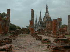 ���I�̕��i