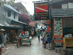 �s�s���ő�̔ɉ؊X