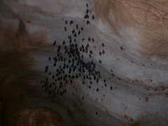 ���A����