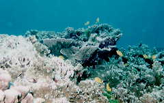 ���F����