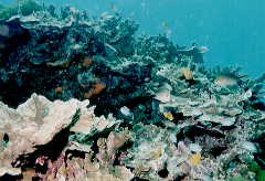 ���F����