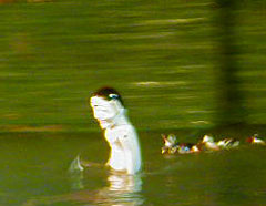 �W���C�A���g�n��P