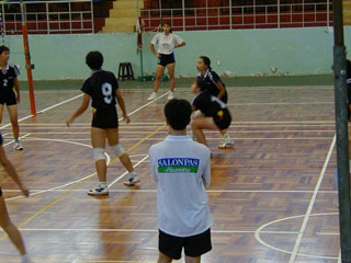 �x�g�i����\