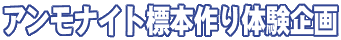 �A�����i�C�g�W�{���̌����
