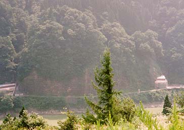 sira7.jpg (24515 �o�C�g)