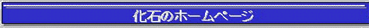 title3.gif (8498 �o�C�g)