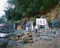tsaisyu3.jpg (15989 �o�C�g)