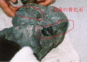 tsaisyu6.jpg (16240 �o�C�g)
