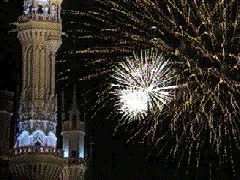 TDL�̉ԉ�