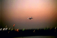 haneda airport