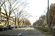 Omotesando