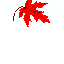 落ちる紅葉