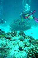 sea2