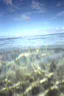 sea3