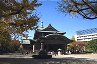 shinsai