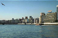 boat tour