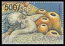 Scott:1596i