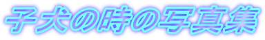 �q���̎��̎ʐ^�W
