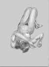 clo00061408.jpg (25002 �o�C�g)