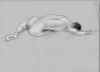 clo00070704.jpg (13109 �o�C�g)