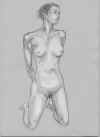 clo00071503.jpg (20620 �o�C�g)