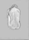 clo00072707.jpg (27496 �o�C�g)