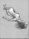 clo00080510.jpg (61895 �o�C�g)