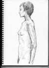 clo00082601.jpg (39535 �o�C�g)