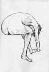 clo00090811.jpg (16159 �o�C�g)