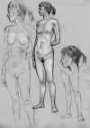 clo00091501.jpg (52344 �o�C�g)