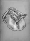 clo00113002.jpg (33861 �o�C�g)