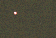 zzz100516alvr.gif
