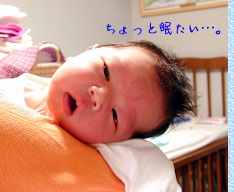 ������Ɩ������c�B