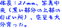 �󓤂��啪������B