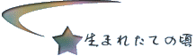 ���܂ꂽ�Ă̍�