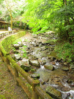 象の小川 奈良県吉野郡吉野町