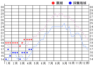 2023年水温グラフ