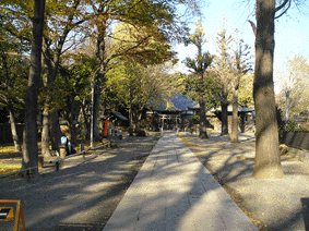 ���ː_�Љ摜