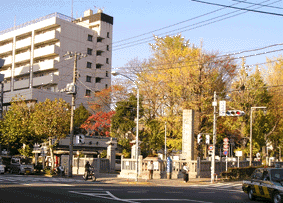 ���ː_�Љ��i�摜