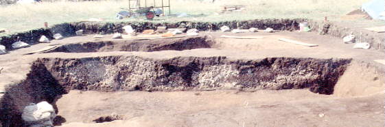 15���Z���ՊL�w�f��