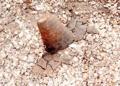 �y��o�y���