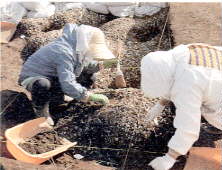 �����S�N�������i