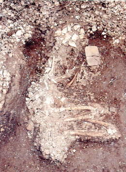 �l���o�y���