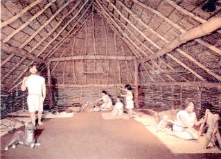 ���������W��